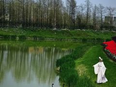 -荷兰花海