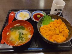 海胆盖饭-札幌二条市场 大矶(本店)