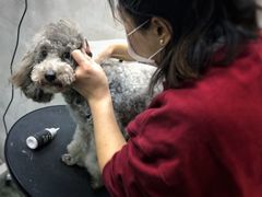 -PETKIT小佩宠物·低压洗护(国顺东路店)