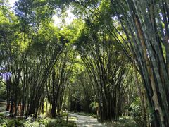 -四川大学博物馆