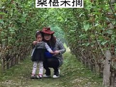 -普迪生态园