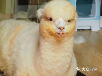 今天路过鼓楼东大街～也就是南锣的北侧