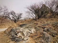 -北京西山国家森林公园