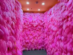 -星空失恋博物馆(北京路旗舰店)