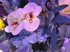 -酷秀KTV(五道口店)