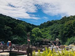 -北京西山国家森林公园