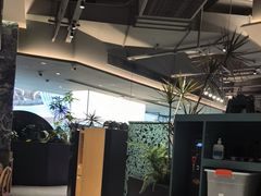 -芸山季·云南山珍菌火锅(南翔印象城MEGA店)