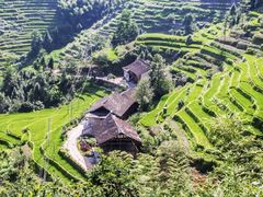 -紫鹊界梯田景区