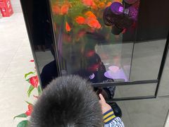 -雅和生态渔庄·宜城锅巴饭(龙灵山公园店)