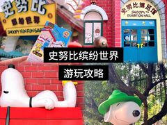 -史努比缤纷世界