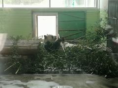 -石家庄市动物园