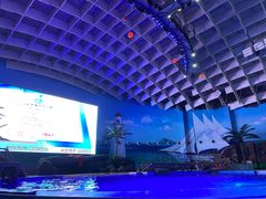 -海合安武汉极地海洋公园