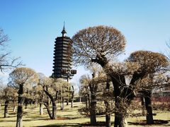 -西海子公园