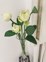 -尊尚柏丽美容SPA
