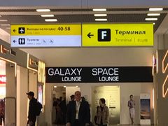 -谢列梅捷沃国际机场