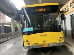 -同济大学(嘉定校区)