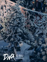 -DNA Wedding 婚礼记(上海店)