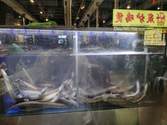 -本炙炭烤·蒲烧活鳗料理店(金沙洲店)