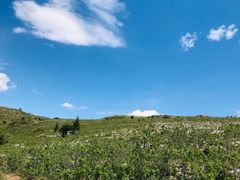 -阳台山自然风景区