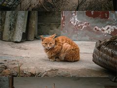 -金堂县云顶石城风景区