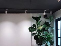 -素咫咖啡CLIFEROSE