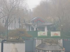 -山东柏宁水族批发广场