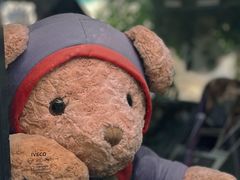 -京北渔家傲