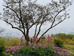 -广州市白云山风景名胜区