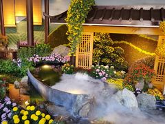 -杭州植物园