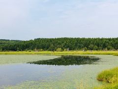 -塞罕坝国家级自然保护区