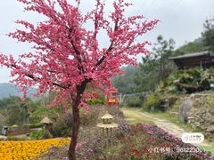 -广东天露山旅游度假区