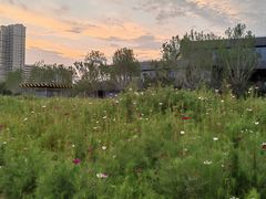 -北沙滩(地铁站)