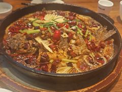 -老板恋上鱼(恒隆广场店)