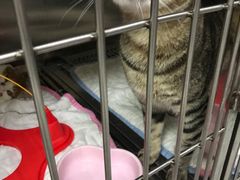 -惠康宠物医院(华能路店)