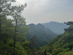 -沂蒙山旅游区云蒙景区(蒙山国家森林公园)