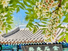 -北京石刻艺术博物馆(五塔寺)