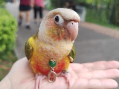 -晓港公园