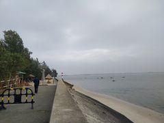 -北海金海湾红树林生态旅游区