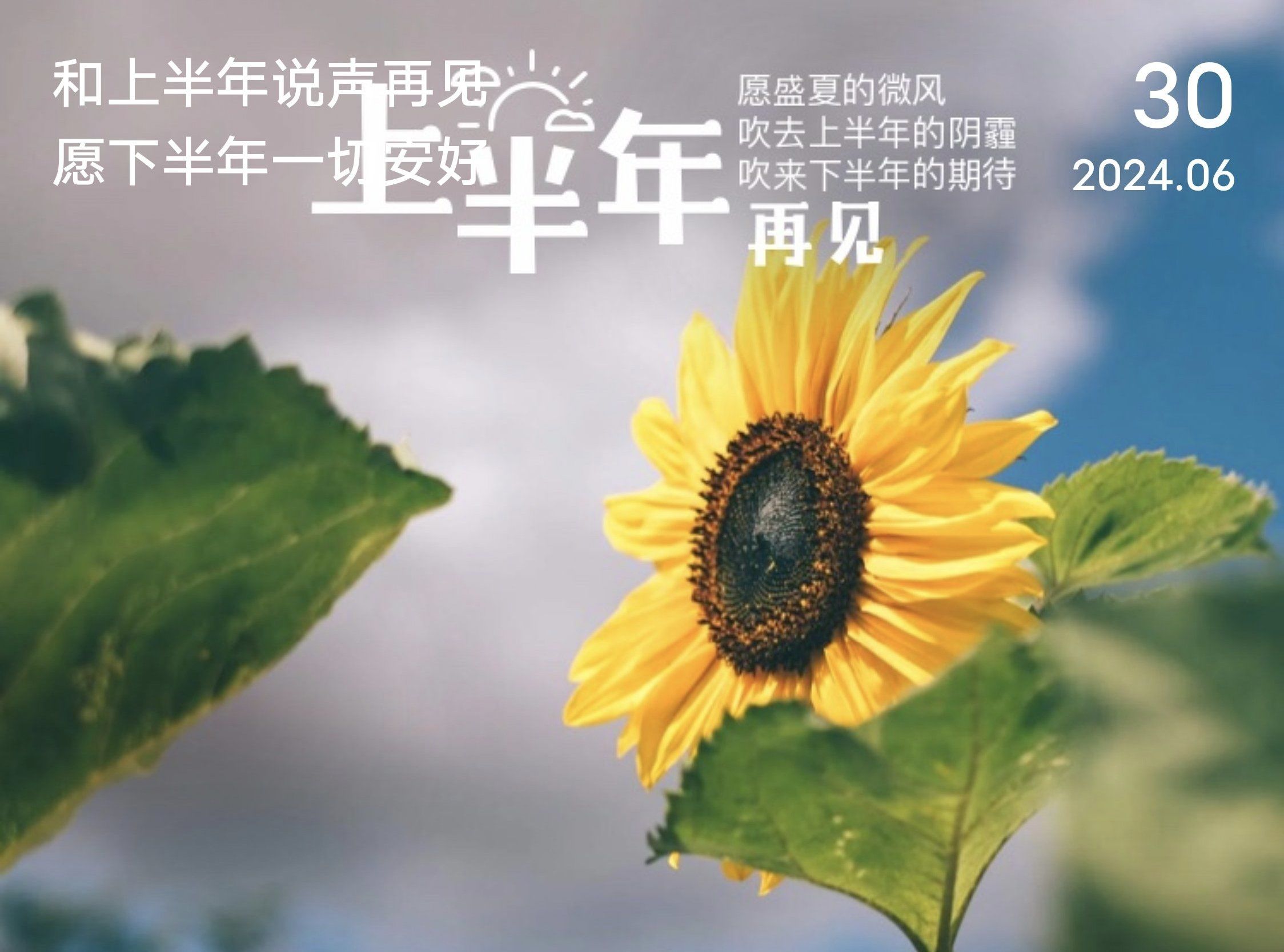 携手并进共筑团队力量,下半年你好🌸