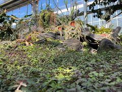 -国家植物园南园