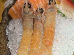 -吉兆·料理(红梅南路店)