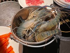 新鲜的活虾-钱小奴海鲜自助黑金店(杭州滨江龙湖店)
