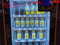 -德禄酸奶(莫家街店)