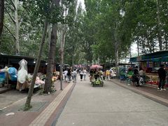 -廊坊市自然公园
