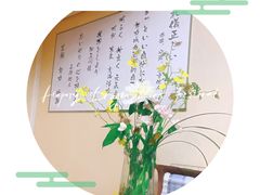 -猫音日语留学培训