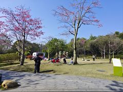 -云溪植物园