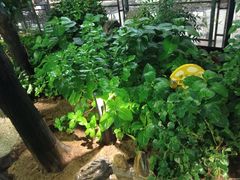 -蘇河湾·新鲁菜·泰山宴(泰山店)