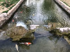 -春风习习