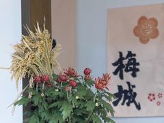 -杭州植物园