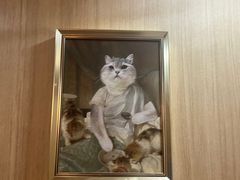 -MOCHA明星猫咖(田子坊店)